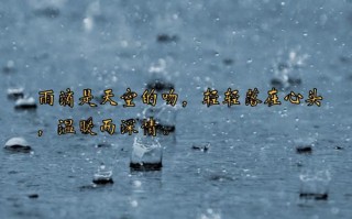 雨天出行办事文案，雨天出行心情说说励志