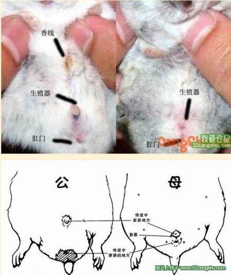 玉匣记出行通用日怎么计算（玉匣记出行吉日表）-第3张图片