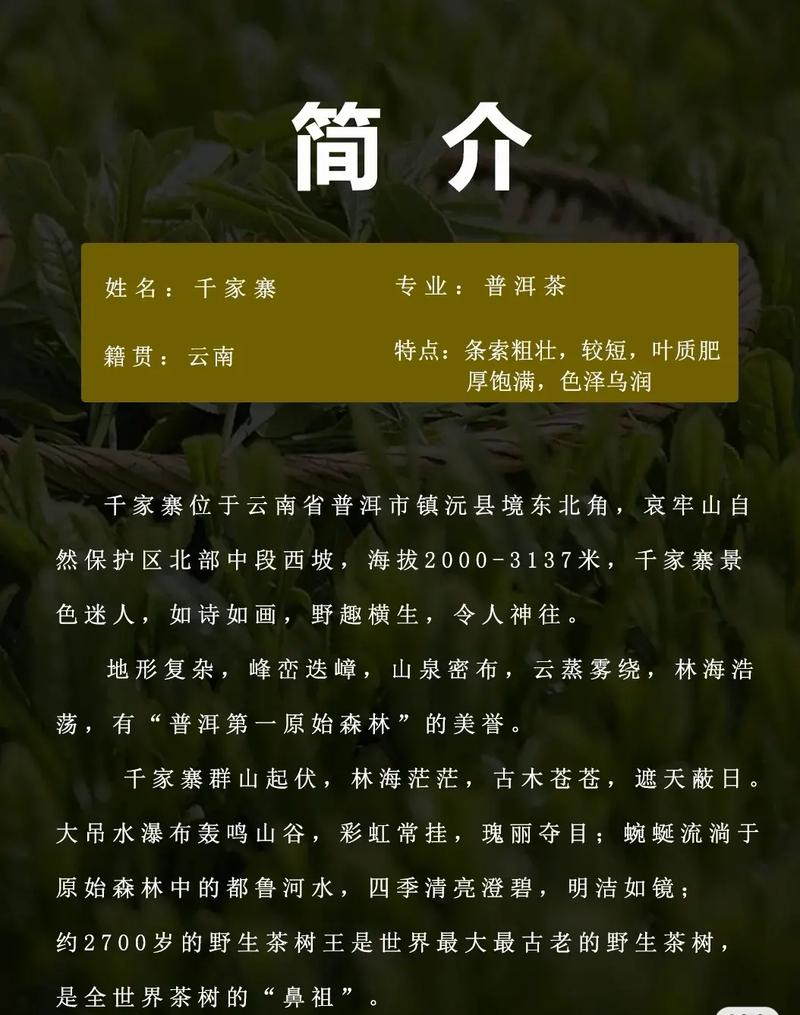 云南普洱风云出行（云南出行普洱分公司）-第3张图片