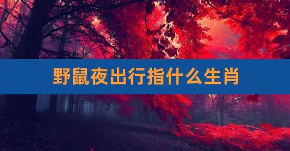 欲钱买夜间出行的生肖（买夜里出门的生肖）-第3张图片