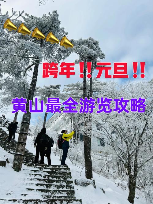 元旦旅游出行保险怎么买（元旦旅游出行保险怎么买划算）-第2张图片