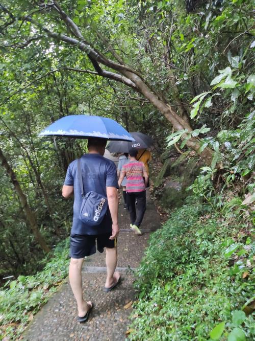 雨天出行手套有用吗，下雨天出门要带雨具还要带什么-第3张图片