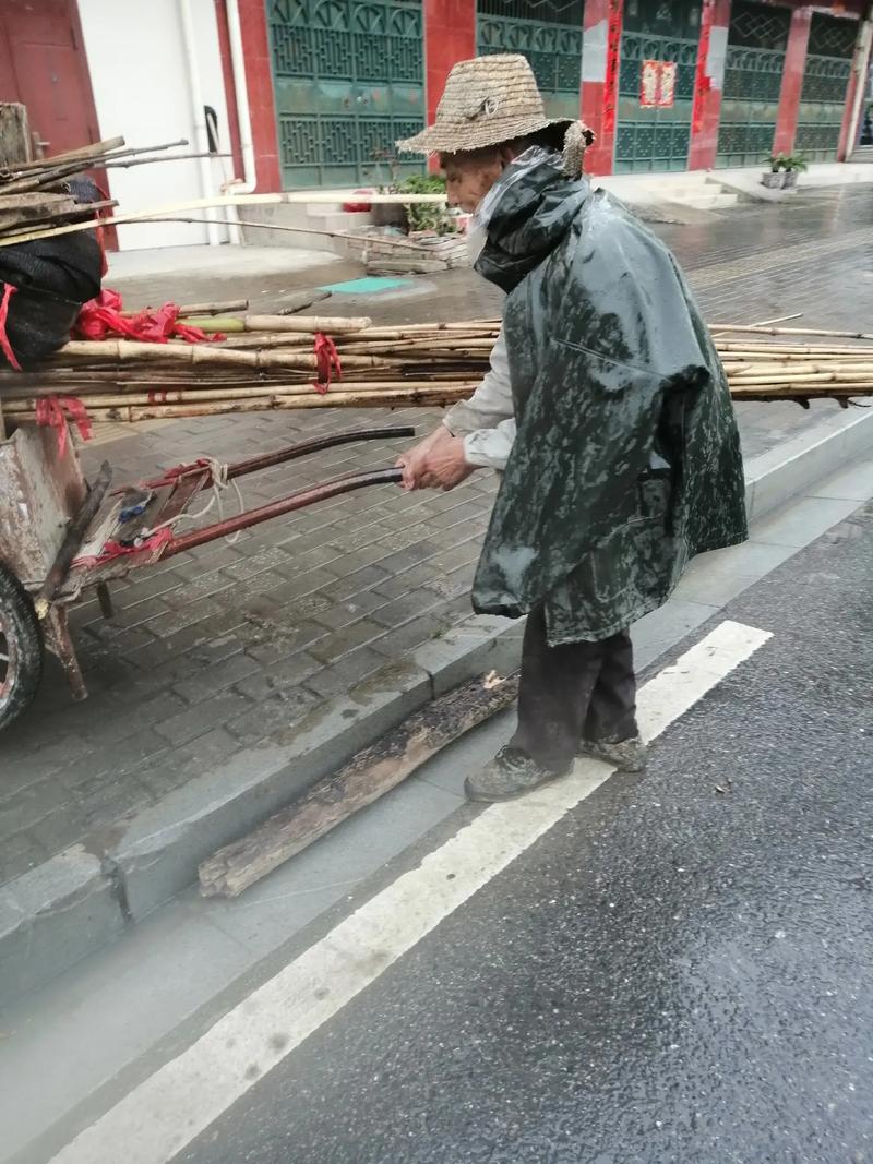 雨天出行儿童穿什么最醒目（雨天出行儿童穿什么最醒目的衣服）-第3张图片