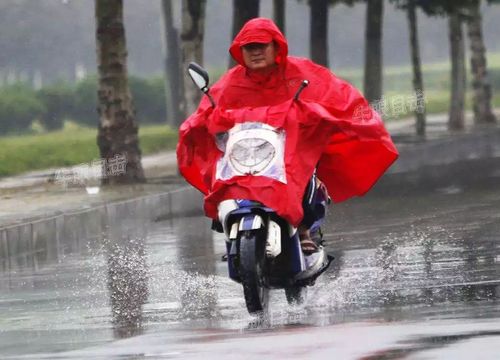 雨天两个人骑车如何出行（下雨天一个人骑车的说说）-第2张图片