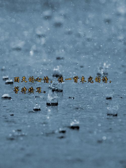 雨天出行用车语录，雨天出行用车语录大全-第4张图片