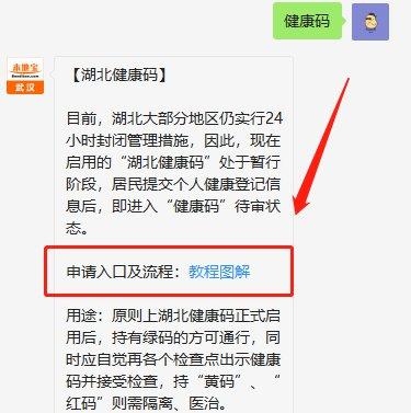在湖北怎么申请出行健康码，湖北健康码申请流程-第6张图片