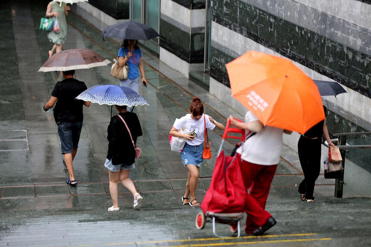 雨天出行避难指南 - 雨天出行要注意避让车辆-第7张图片