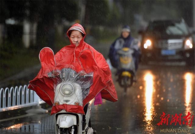 雨天出行考验市民（雨天出行考验市民安全吗）-第7张图片