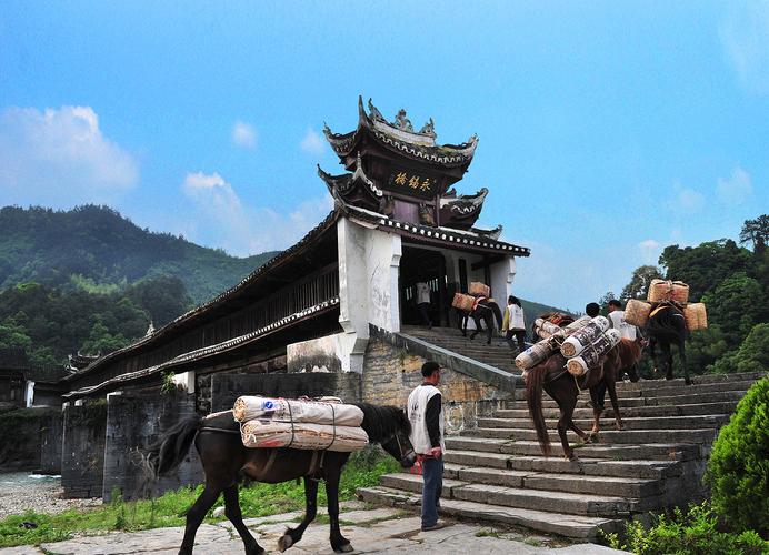 云南马路骑马出行，云南骑马旅游景点-第3张图片