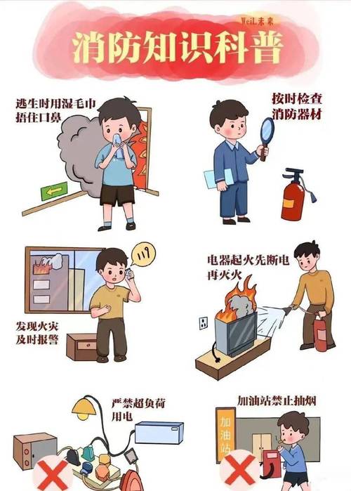 幼儿过年出行安全 - 幼儿过年出行安全图片-第4张图片