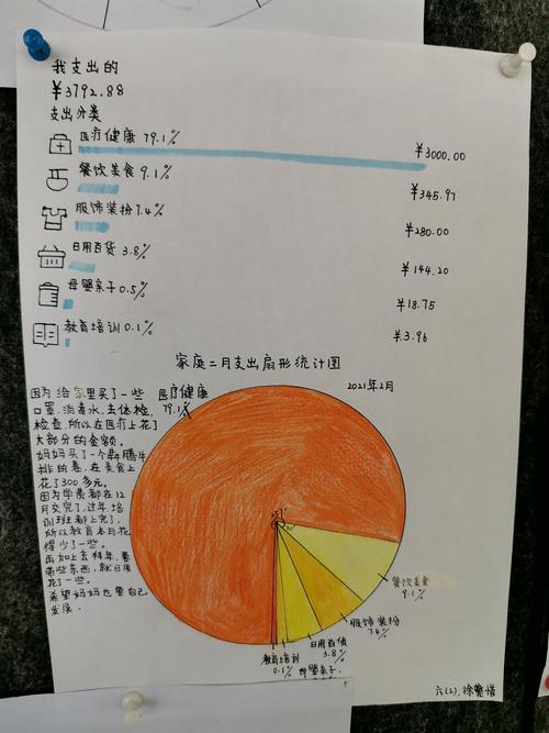 元旦出行扇形统计图 - 元旦出行扇形统计图手抄报-第4张图片